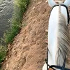 المدينة المنورة الخليل