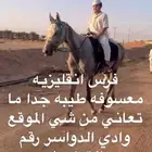 فرس