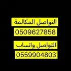 كلاب جيرمن و هاسكي .