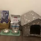 اغراض قط للبيع