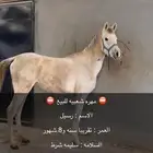 مهره شعبيه للبيع التواصل