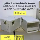 بيضات طيور الزينه