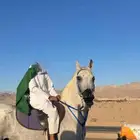 أسلام عليكم عارض حصان قطعه شعبي عربي   العمر 5