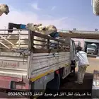 دنا هدروليك لنقل الابل في جميع المناطق