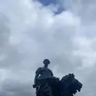 قطط للتبني جدة