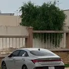 النترا 2024 نص فل
