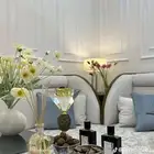 مساند ظهر خشب وإسفنج تراثيه ومجالس شعبيه