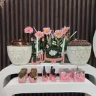 استقبال مولوده جميع اللي في الصوره ب 300