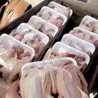 يوجد فراخة حمام وأرانب ويوجد توصيل