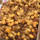 تمر عراقي صكعي