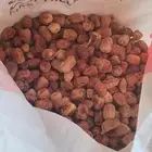 تمر علف للمواشي