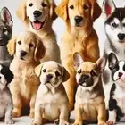 تبني جميع انواع الكلاب