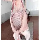 لحم حاشي بري نص وربع وثلث شغلي خاص بدون ملحمة