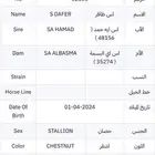 مهر واهو كفو