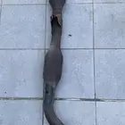 شخال هايلكس مفرغ