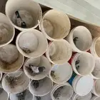حمام للبيع محجل