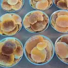 عسل سدر مظمون