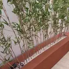 بارتشن من الخشب فيه اضاءة ديكورية..مع عجلات مخفية