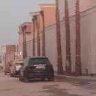 ن خ ل وأشنطني ون خ ل عربي جميع المقاسات معاالتوصيل والزرع