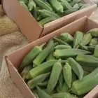 للبيع عنب وبامية وبصل حق مزارع طازج العنب كرتون صفير