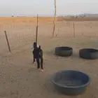 تيس العمر 3 شهور حاله وسط حد 750