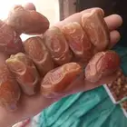 القصيم