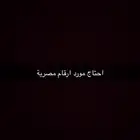 احتاج مورد ارقام مصرية