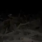 حطب قرض للبيع