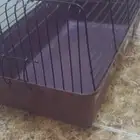 قفص..تسريحه