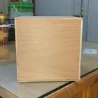 بياضات طيور