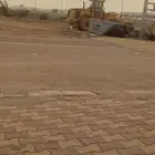 الشيول اليجار