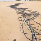 لآيات زراعيه