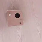 بياضات طيور