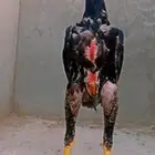 شامو ياباني