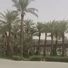 فني زراعي تنسيق وصيانه النخيل والحدائق