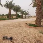 متخصصون في مجال البناء وزراعه النخل  جميع مناطق المملكه ا