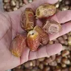 تمر صقعي الموقع تمير