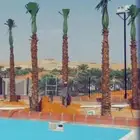 نحن بعون الله متخصصون في توريد وتركيب شبوك المزارع والاراضي