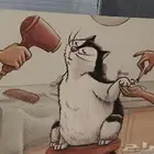 BEauty Cat لخدمة الحيوانات الأليفة