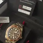 تيدور برونز Tudor