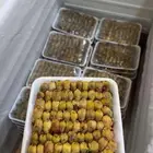 بواجي - دخل