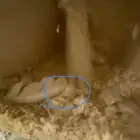 للبيع جوزين كروان