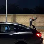 شانجان ايدو للتنازل بدون مقابل