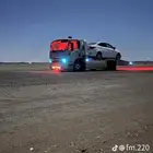 سطحه المظيلف القنفذه
