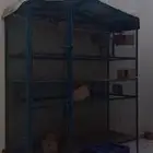 شبك عصافير للبيع