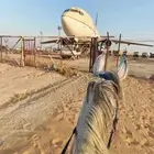ركوب خيل