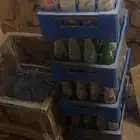 قوارير قزاز بيبسي ( لمحبين التراث)