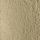 معلم دهان باكستاني شغل 100 100