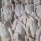 حمام فرنسي لحم