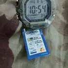 CASIO WATCH AE-1600H-5AV